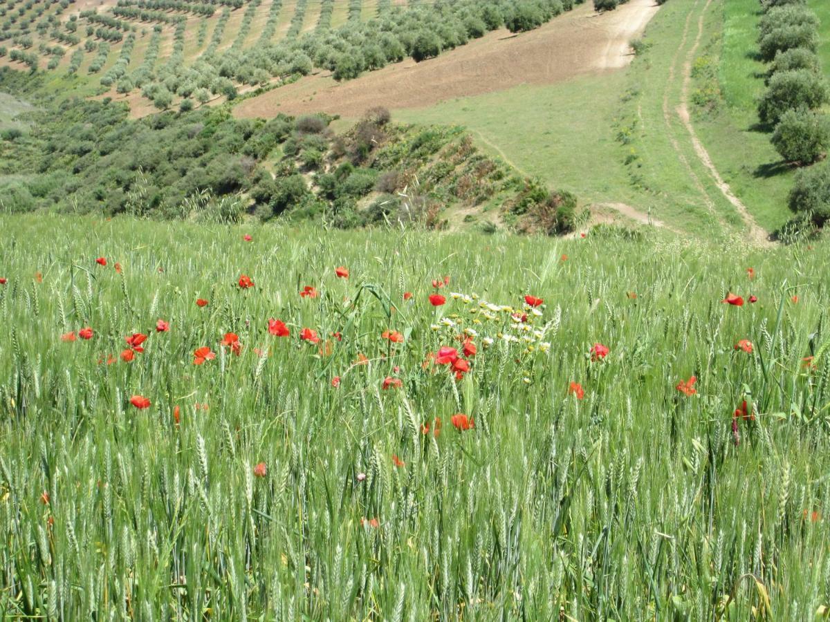 Terre De Traces Ecolodge Sefrou Εξωτερικό φωτογραφία